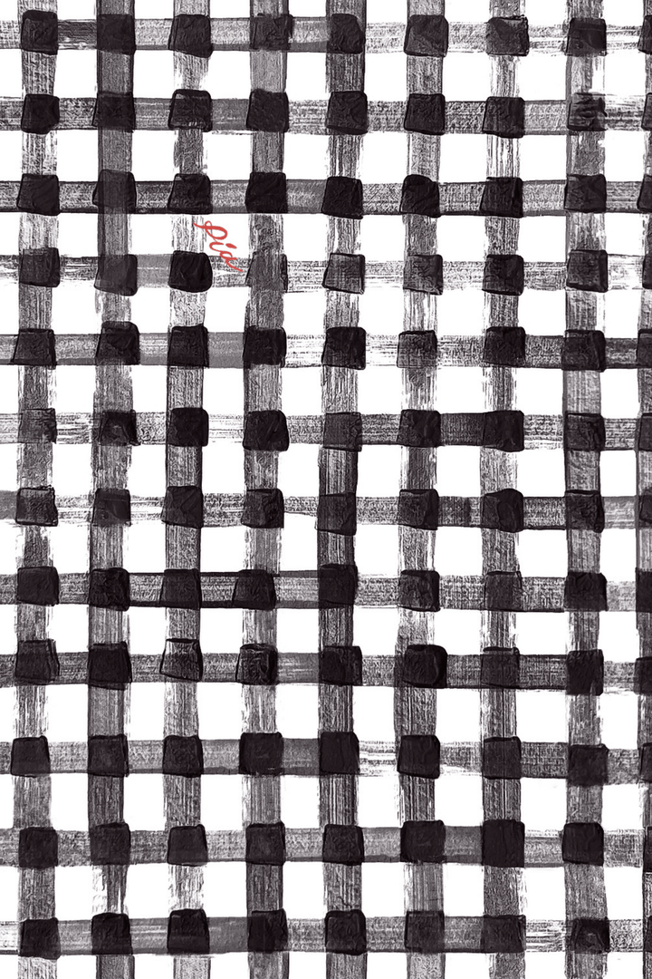 IAN - ANKLE LENGTH PANTS - BLACK PLAID